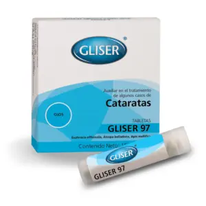 Gliser 97 Cataratas